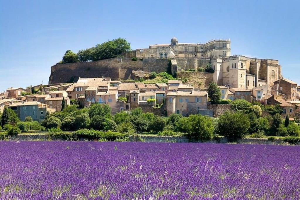 Maison De Ville Châteauneuf-du-Rhône Dış mekan fotoğraf